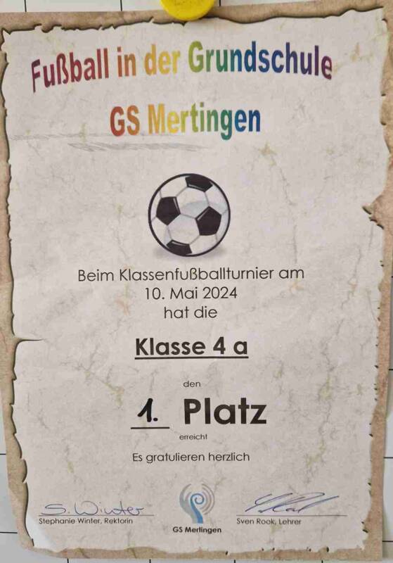 Bild