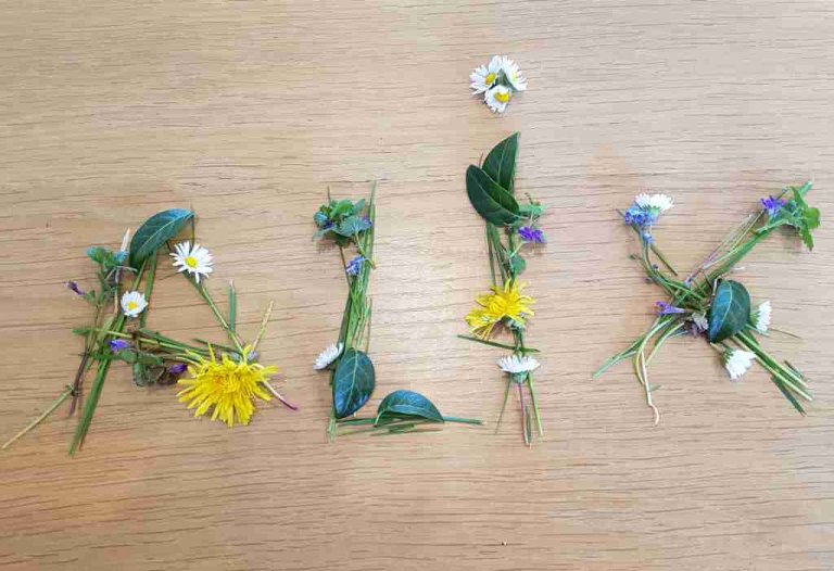Name Natur 2