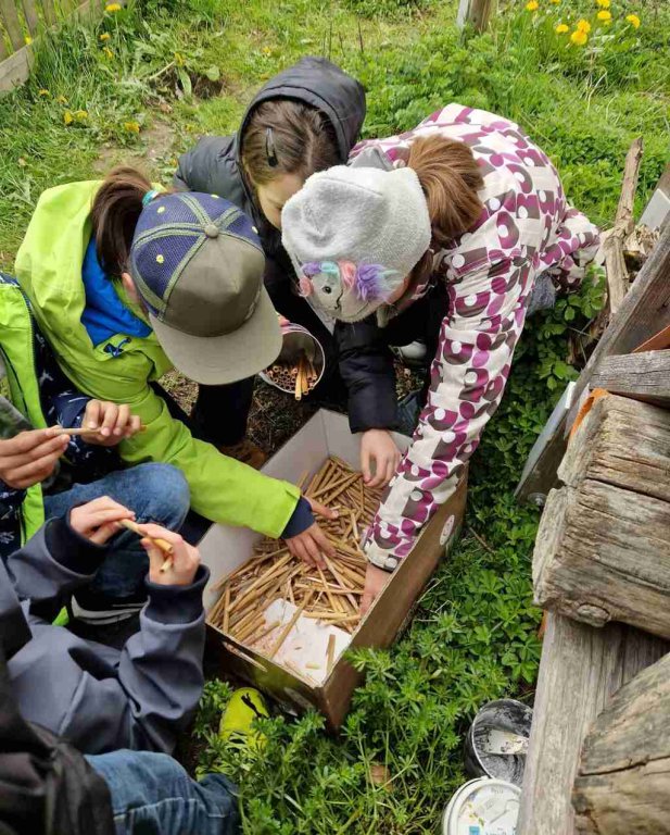 Kinder beim Bienenworkshop